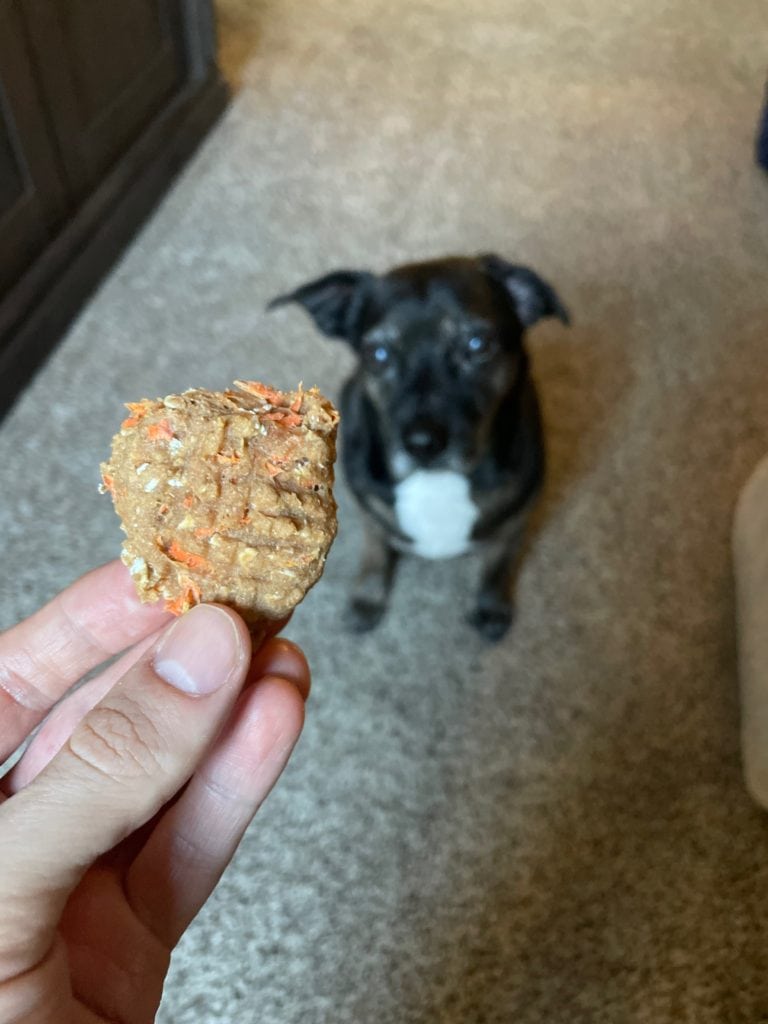 Carrot and Chicken Sourdough Dog Cookies