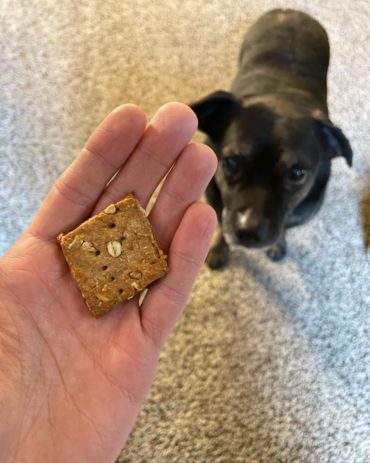 Sourdough Peanut Butter and Banana Dog Biscuits