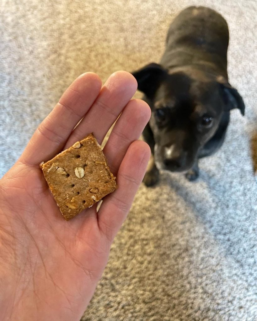 Sourdough Peanut Butter and Banana Dog Biscuits