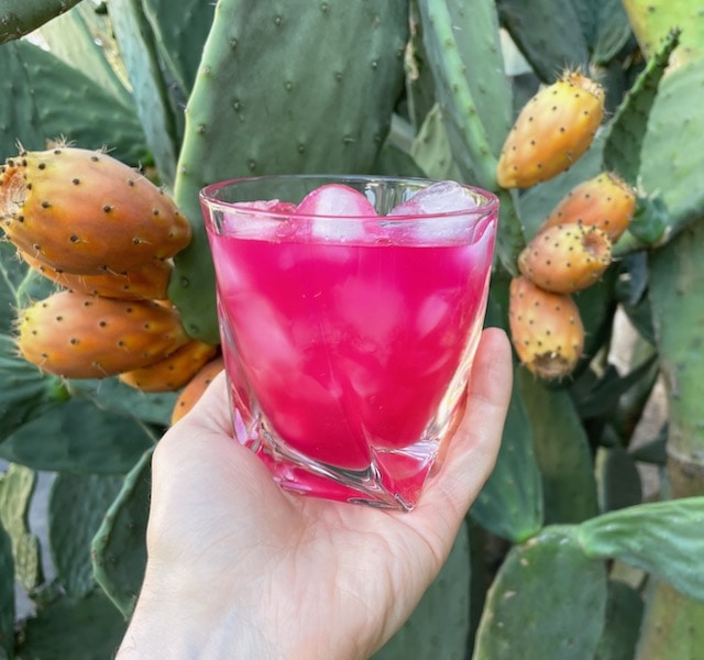 Prickly Pear Agua Fresca (Agua de Tuna)