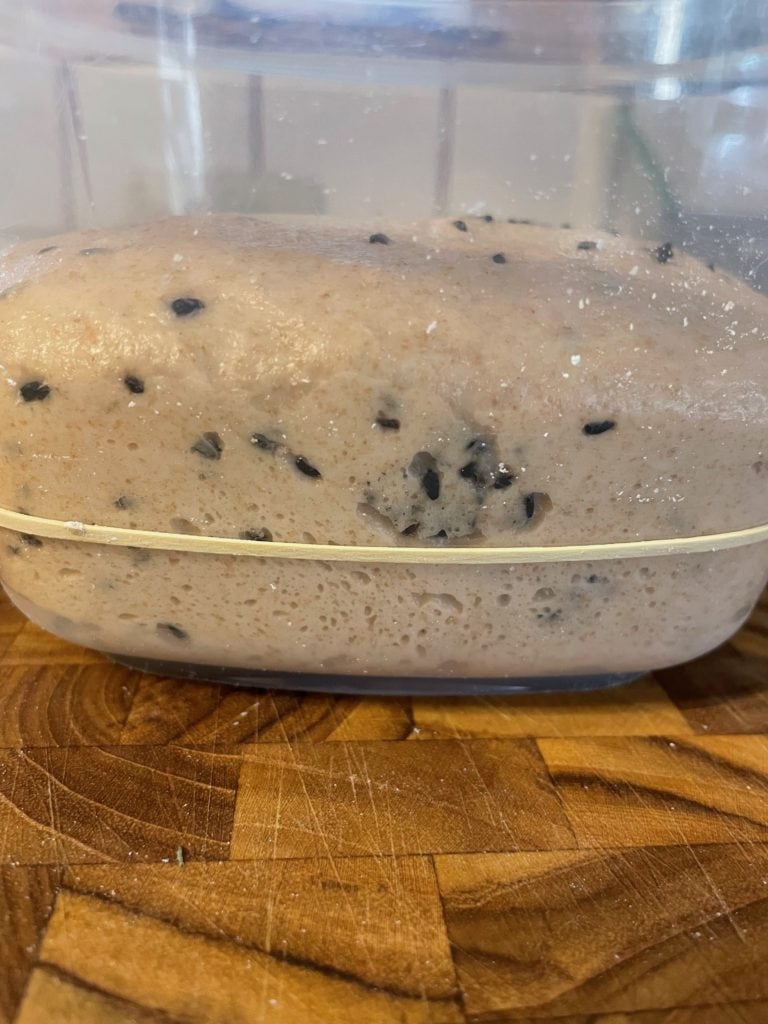 Sourdough Fougasse with Herbs and Seeds